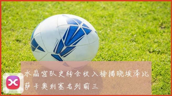 水晶宫队史转会收入榜揭晓埃泽比萨卡奥利塞名列前三