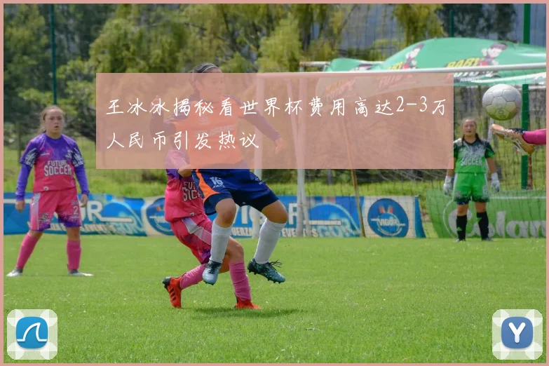王冰冰揭秘看世界杯费用高达2-3万人民币引发热议